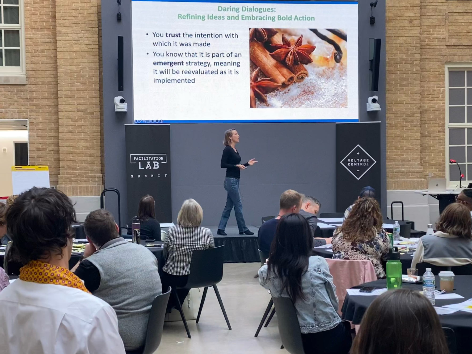 Erin Warner leading a session on stage at the Facilitation Lab Summit